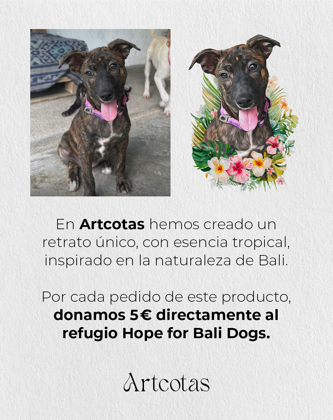 Retrato Hope for Bali Dogs